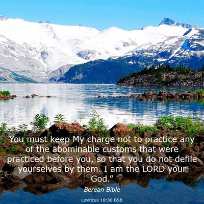 Picture 03 - Leviticus 18:30 BSB - You must keep My charge not to practice any of - Bible Verse Picture