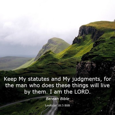 Picture 03 - Leviticus 18:5 BSB - Keep My statutes and My judgments, for the man - Bible Verse Picture