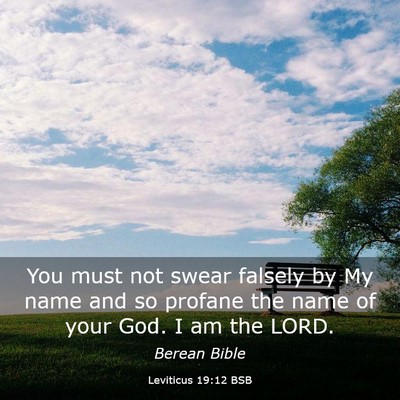 Picture 03 - Leviticus 19:12 BSB - You must not swear falsely by My name and so - Bible Verse Picture