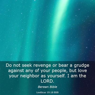 Picture 03 - Leviticus 19:18 BSB - Do not seek revenge or bear a grudge against any - Bible Verse Picture