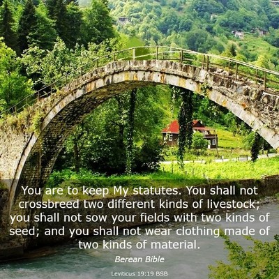 Picture 03 - Leviticus 19:19 BSB - You are to keep My statutes. You shall not - Bible Verse Picture