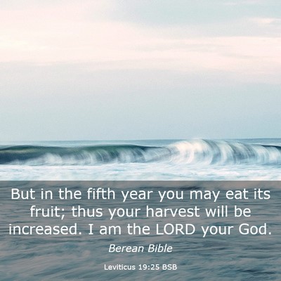Picture 03 - Leviticus 19:25 BSB - But in the fifth year you may eat its fruit; thus - Bible Verse Picture