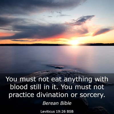 Picture 03 - Leviticus 19:26 BSB - You must not eat anything with blood still in it. - Bible Verse Picture