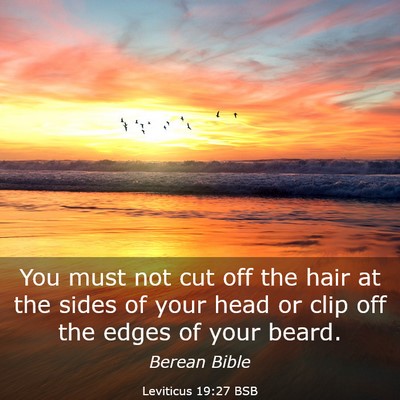 Picture 03 - Leviticus 19:27 BSB - You must not cut off the hair at the sides of - Bible Verse Picture