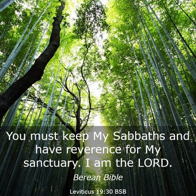 Picture 03 - Leviticus 19:30 BSB - You must keep My Sabbaths and have reverence for - Bible Verse Picture