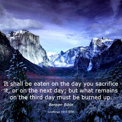 Picture 03 - Leviticus 19:6 BSB - It shall be eaten on the day you sacrifice it, or - Bible Verse Picture