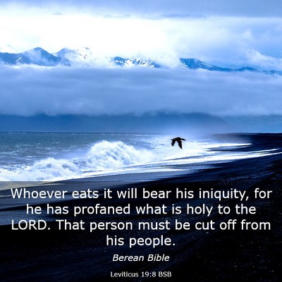 Picture 03 - Leviticus 19:8 BSB - Whoever eats it will bear his iniquity, for he - Bible Verse Picture