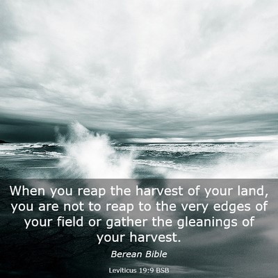 Picture 03 - Leviticus 19:9 BSB - When you reap the harvest of your land, you are - Bible Verse Picture