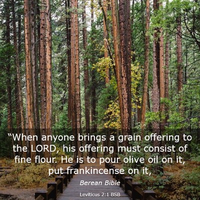 Picture 03 - Leviticus 2:1 BSB - “When anyone brings a grain offering to the - Bible Verse Picture
