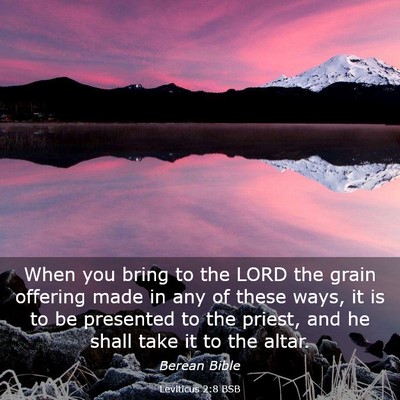 Picture 03 - Leviticus 2:8 BSB - When you bring to the LORD the grain offering - Bible Verse Picture