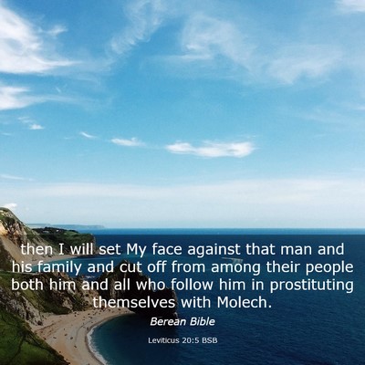 Picture 03 - Leviticus 20:5 BSB - then I will set My face against that man and his - Bible Verse Picture
