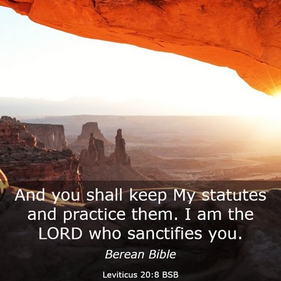 Picture 03 - Leviticus 20:8 BSB - And you shall keep My statutes and practice them. - Bible Verse Picture