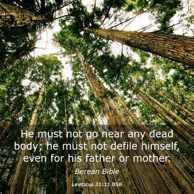 Picture 03 - Leviticus 21:11 BSB - He must not go near any dead body; he must not - Bible Verse Picture
