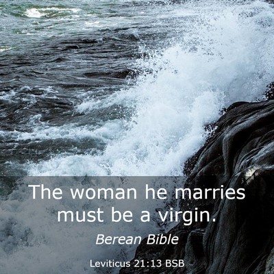 Picture 03 - Leviticus 21:13 BSB - The woman he marries must be a - Bible Verse Picture