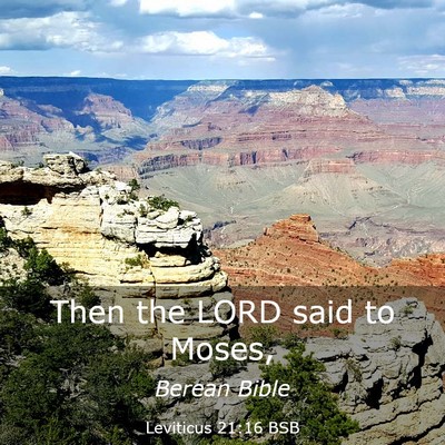 Picture 03 - Leviticus 21:16 BSB - Then the LORD said to - Bible Verse Picture