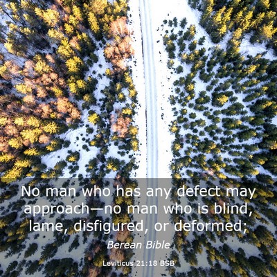 Picture 03 - Leviticus 21:18 BSB - No man who has any defect may approach—no man - Bible Verse Picture