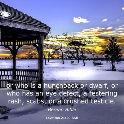 Picture 03 - Leviticus 21:20 BSB - or who is a hunchback or dwarf, or who has an eye - Bible Verse Picture