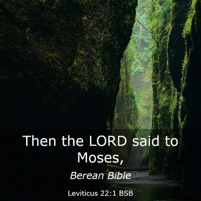 Picture 03 - Leviticus 22:1 BSB - Then the LORD said to - Bible Verse Picture