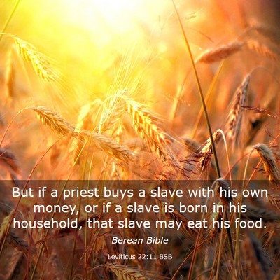 Picture 03 - Leviticus 22:11 BSB - But if a priest buys a slave with his own money, - Bible Verse Picture