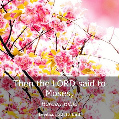 Picture 03 - Leviticus 22:17 BSB - Then the LORD said to - Bible Verse Picture