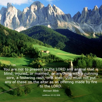 Picture 03 - Leviticus 22:22 BSB - You are not to present to the LORD any animal - Bible Verse Picture