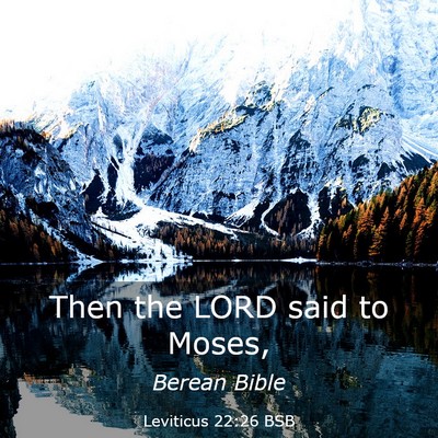 Picture 03 - Leviticus 22:26 BSB - Then the LORD said to - Bible Verse Picture