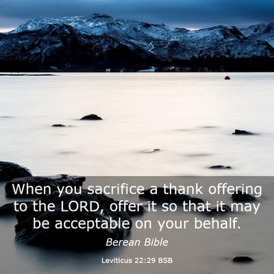 Picture 03 - Leviticus 22:29 BSB - When you sacrifice a thank offering to the LORD, - Bible Verse Picture