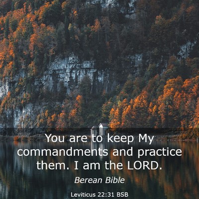 Picture 03 - Leviticus 22:31 BSB - You are to keep My commandments and practice - Bible Verse Picture