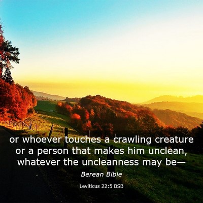 Picture 03 - Leviticus 22:5 BSB - or whoever touches a crawling creature or a - Bible Verse Picture
