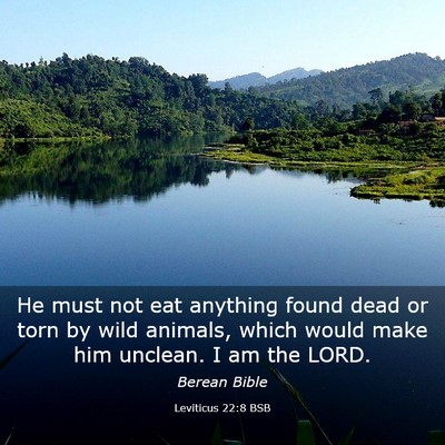 Picture 03 - Leviticus 22:8 BSB - He must not eat anything found dead or torn by - Bible Verse Picture