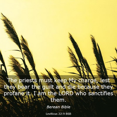 Picture 03 - Leviticus 22:9 BSB - The priests must keep My charge, lest they bear - Bible Verse Picture