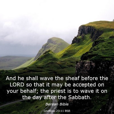 Picture 03 - Leviticus 23:11 BSB - And he shall wave the sheaf before the LORD so - Bible Verse Picture
