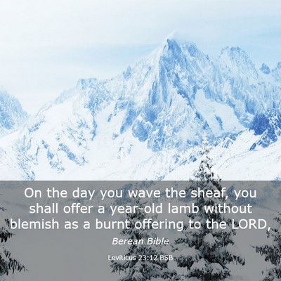 Picture 03 - Leviticus 23:12 BSB - On the day you wave the sheaf, you shall offer a - Bible Verse Picture