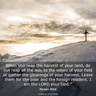 Picture 03 - Leviticus 23:22 BSB - When you reap the harvest of your land, do not - Bible Verse Picture