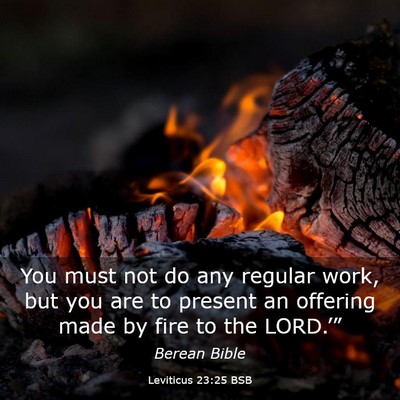 Picture 03 - Leviticus 23:25 BSB - You must not do any regular work, but you are to - Bible Verse Picture
