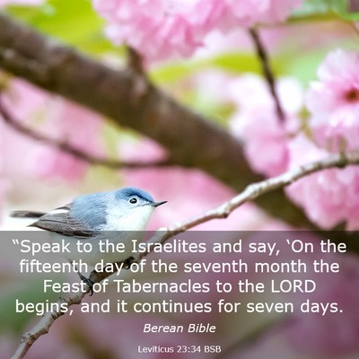 Picture 03 - Leviticus 23:34 BSB - “Speak to the Israelites and say, ‘On the - Bible Verse Picture