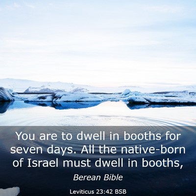 Picture 03 - Leviticus 23:42 BSB - You are to dwell in booths for seven days. All - Bible Verse Picture