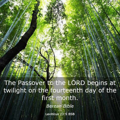 Picture 03 - Leviticus 23:5 BSB - The Passover to the LORD begins at twilight on - Bible Verse Picture