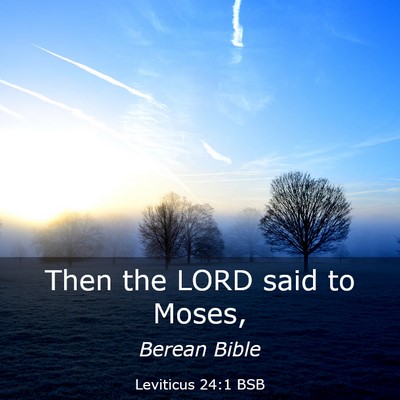 Picture 03 - Leviticus 24:1 BSB - Then the LORD said to - Bible Verse Picture