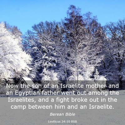 Picture 03 - Leviticus 24:10 BSB - Now the son of an Israelite mother and an - Bible Verse Picture