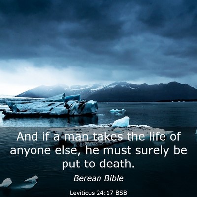 Picture 03 - Leviticus 24:17 BSB - And if a man takes the life of anyone else, he - Bible Verse Picture