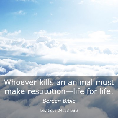 Picture 03 - Leviticus 24:18 BSB - Whoever kills an animal must make - Bible Verse Picture