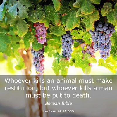Picture 03 - Leviticus 24:21 BSB - Whoever kills an animal must make restitution, - Bible Verse Picture