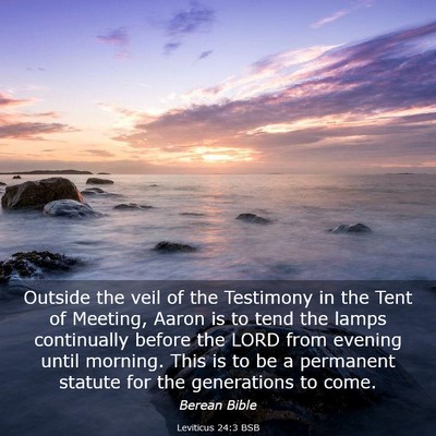 Picture 03 - Leviticus 24:3 BSB - Outside the veil of the Testimony in the Tent of - Bible Verse Picture