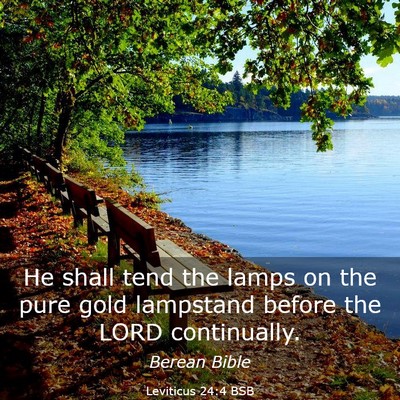 Picture 03 - Leviticus 24:4 BSB - He shall tend the lamps on the pure gold - Bible Verse Picture