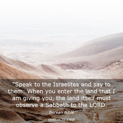 Picture 03 - Leviticus 25:2 BSB - “Speak to the Israelites and say to them: When - Bible Verse Picture