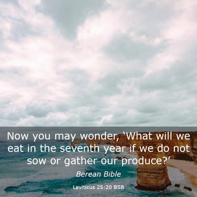 Picture 03 - Leviticus 25:20 BSB - Now you may wonder, ‘What will we eat in the - Bible Verse Picture