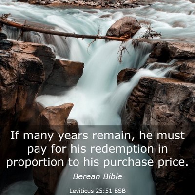 Picture 03 - Leviticus 25:51 BSB - If many years remain, he must pay for his - Bible Verse Picture