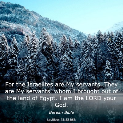 Picture 03 - Leviticus 25:55 BSB - For the Israelites are My servants. They are My - Bible Verse Picture