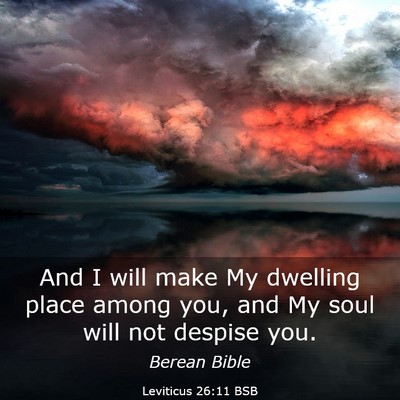 Picture 03 - Leviticus 26:11 BSB - And I will make My dwelling place among you, and - Bible Verse Picture